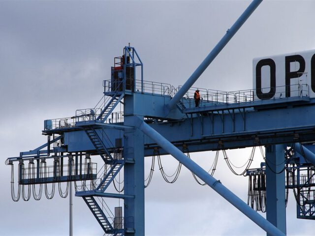 Containerkräne und Containerstapel in einem großen Seehafen